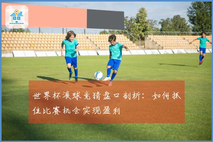 世界杯滚球竞猜盘口剖析：如何抓住比赛机会实现盈利