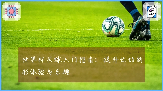 世界杯买球入门指南：提升你的购彩体验与乐趣