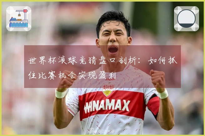 世界杯滚球竞猜盘口剖析：如何抓住比赛机会实现盈利